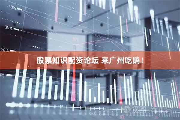 股票知识配资论坛 来广州吃鹅！